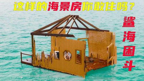 鲨海困斗,生死较量，海洋深处的惊心动魄