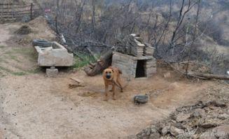 荒郊野外,探寻神秘与未知的边缘之地